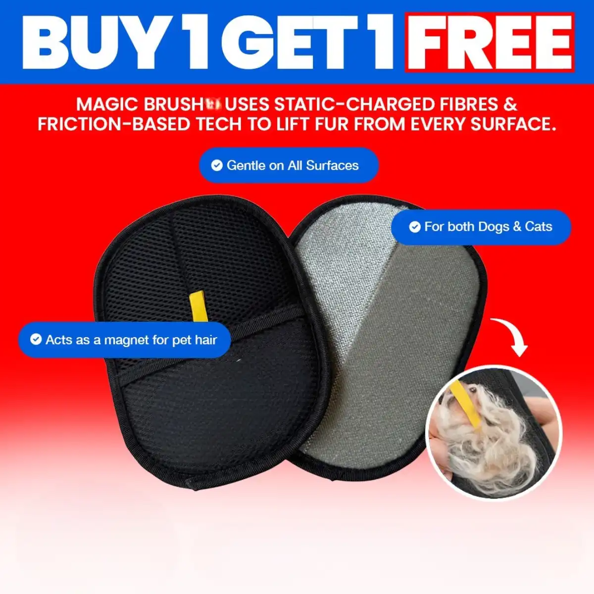 The Magic Brush - Buy 1 Get 1 Free