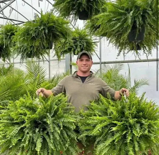 On Sale Last Day 🌱 UV-Resistant Realistic Artificial Boston Fern